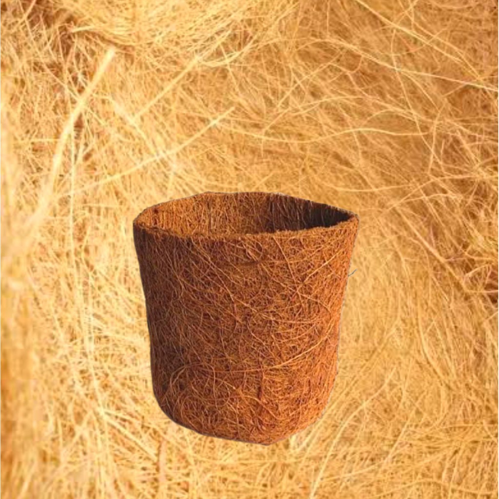 pot sabut kelapa murah pembibitan anggrek pot sabut kelapa anggrek