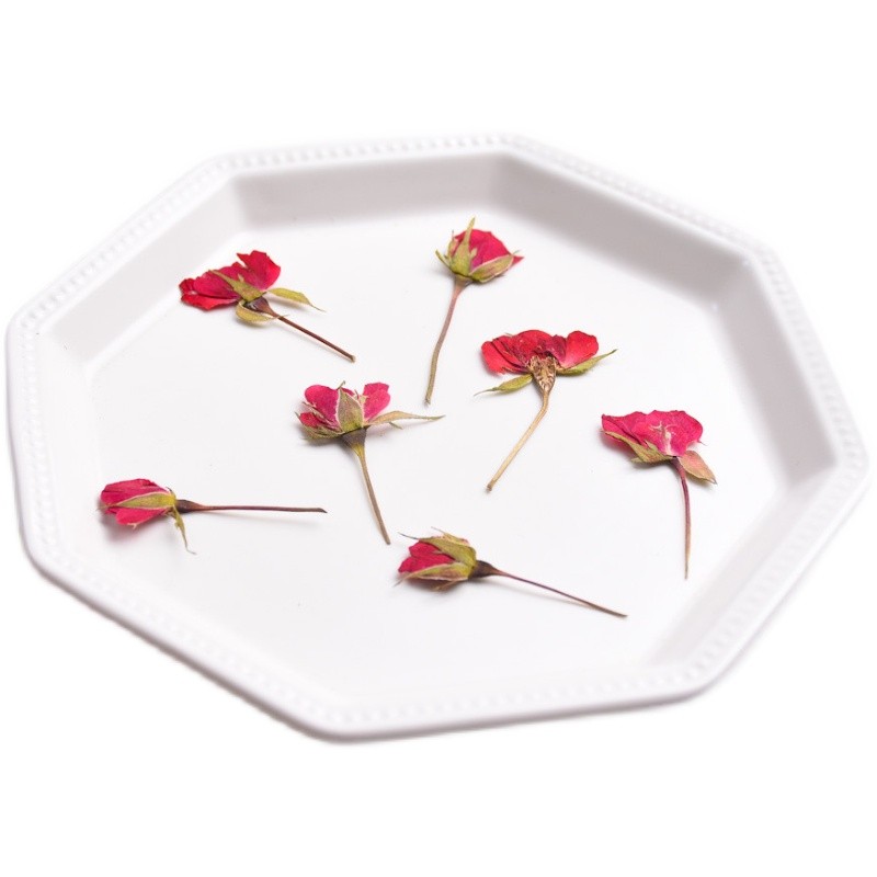 

Side Pressure Red Rose Branches Rose Buds Dried Flowers DIY Epoxy Mobile Phone Case Mold Seal Fire Paint Seal Material,24pcs