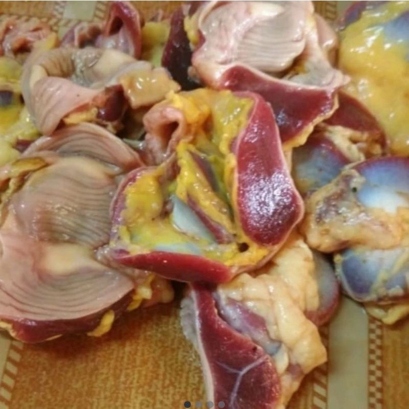 

Hati Ampela Bebek Segar