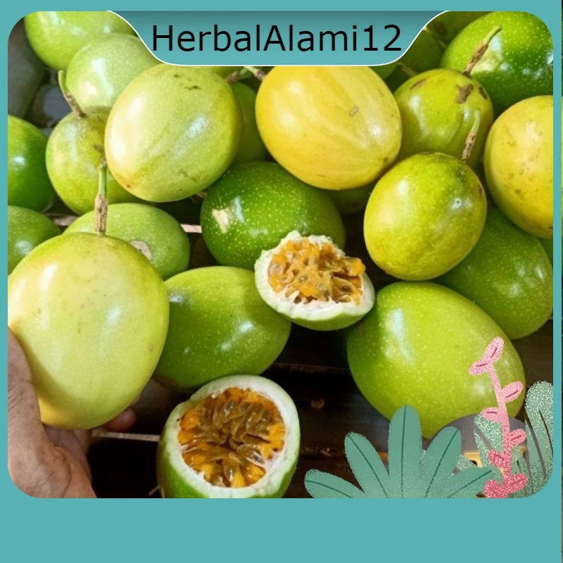 

buah markisa kuning fresh segar 1kg