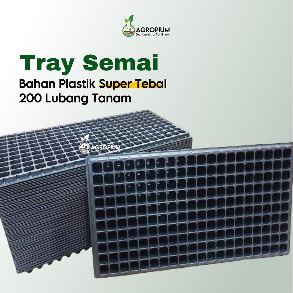 Tray Semai Benih Potray Seedling Kualitas Super Bahan Tebal