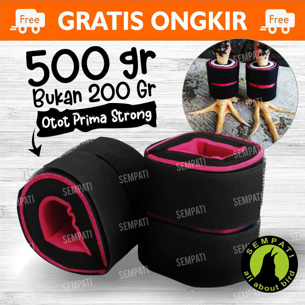 SEMPATI BARBEL AYAM JAGO ADUAN PAKET BEGEL AYAM BANGKOK 500 GRAM SATU PASANG PEMBERAT KAKI AYAM ADUA