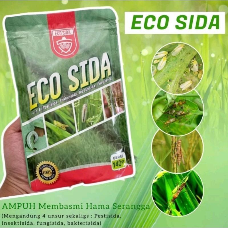 eco sida pembasmi serangga tanaman