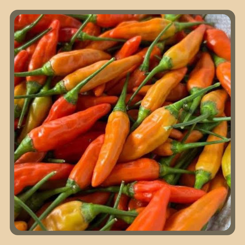 

Cabe Rawit Merah Fresh Segar 1 Kg cabai rawit