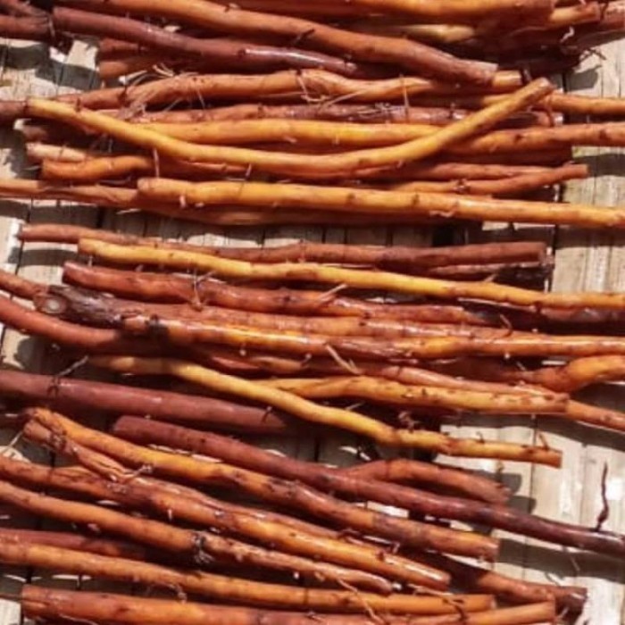 

Akar aren segar 1kg presh