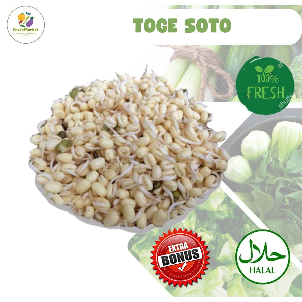 

Toge Soto Tauge Kecambah Segar 250 Gram Sayurinstant