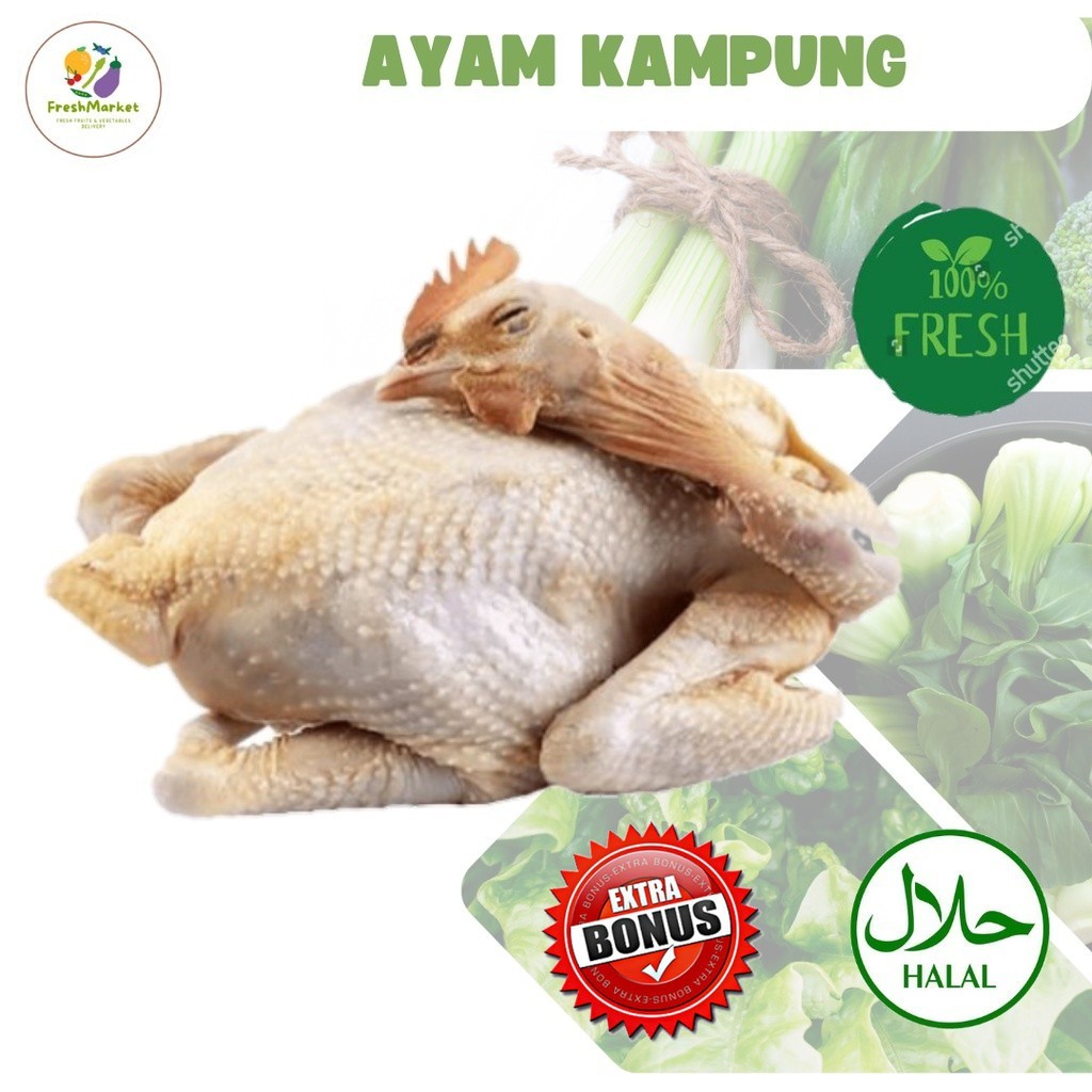 

Ayam Kampung Segar -/+ 1.2 Kg 100% Halal Sayurinstant