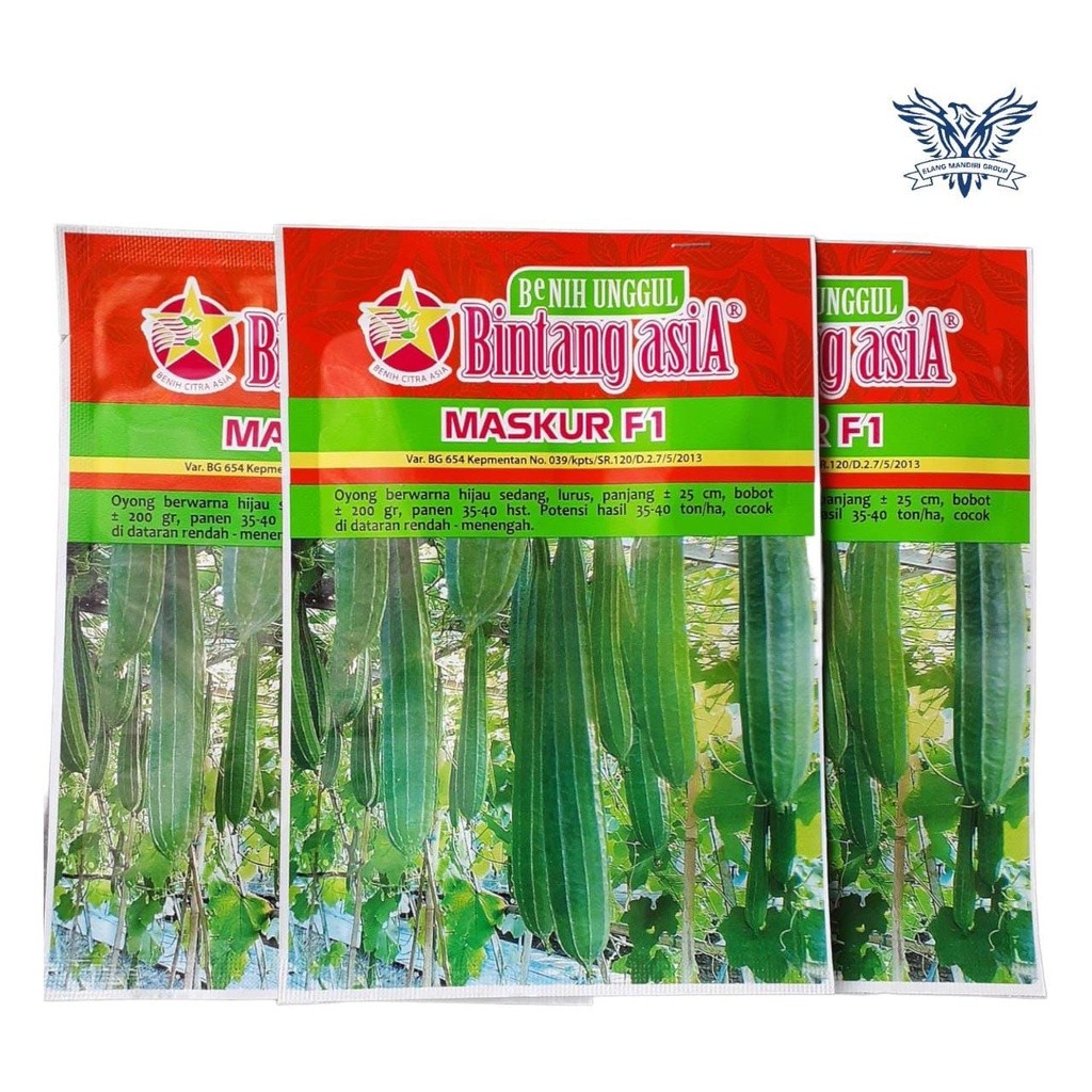 Bibit Benih Oyong Maskur F1 10 gr bintang asia 100% Original,  prima f1,