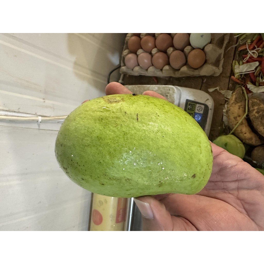 

MANGGA MUDA FRESH ±200 GR HARIAN PASAR