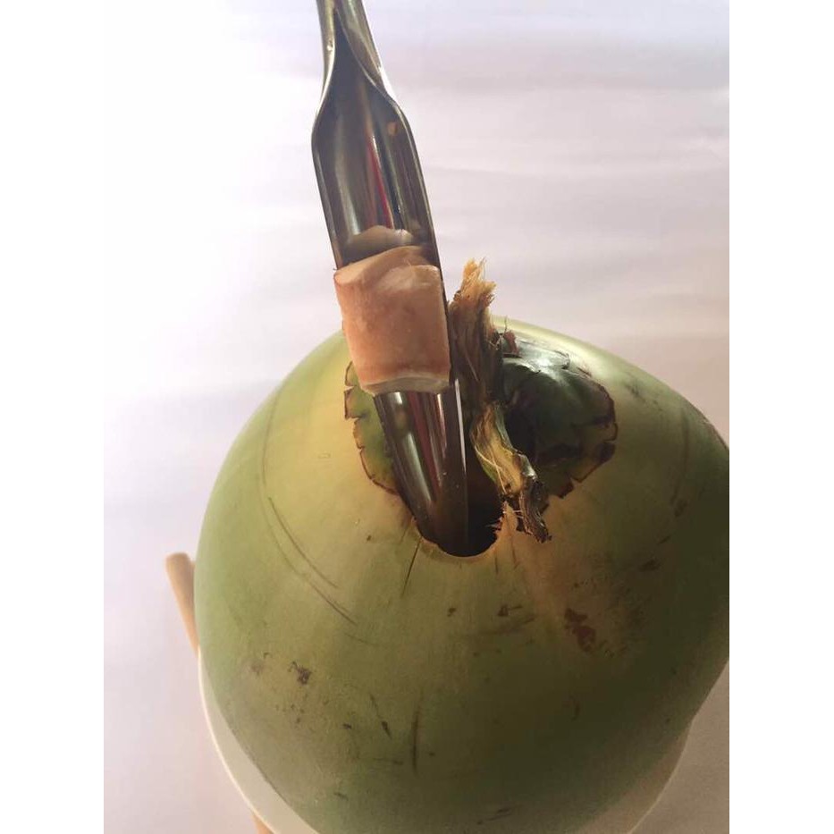 Alat Pembuka Kelapa muda (coconut opener)
