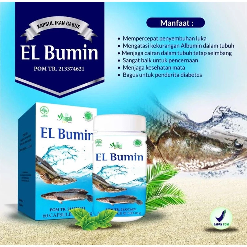 (14) KAPSUL ELBUMIN TERBAIK EL BUMIN KAPSUL IKAN KUTUK / GABUS KUALITAS PREMIUM