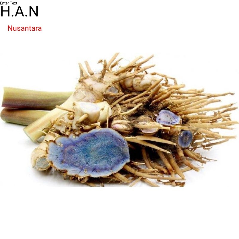 

Kunyit hitam segarr 500gram temu ireng hitam basah