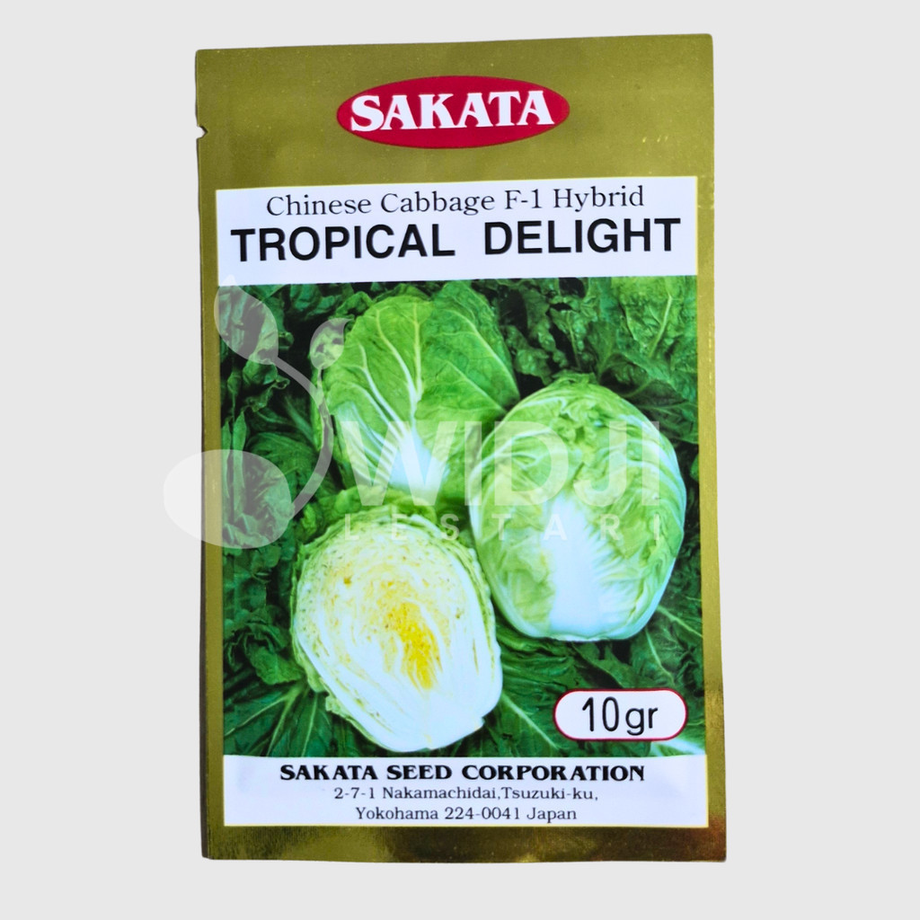 Tropical Delight Benih Sawi Putih 10gr Tanpa Bulu Produksi Tinggi
