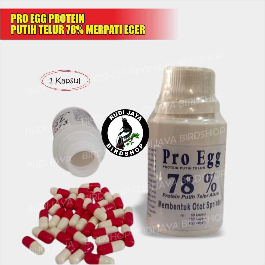 JUAL PRO EGG PROTEIN 78% PUTIH TELUR ALAMI ECER 1 KAPSUL MEMBENTU OTOT MERPATI BALAP DAN AYAM ADUAN
