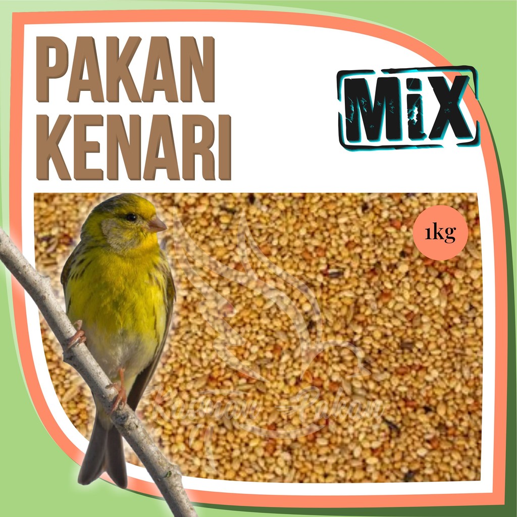 Pakan Kenari 1 Kg Campur Kiloan Premium Tinggi Biji Sawi Gabah Kenari Seed Milet Kuning Milet Merah