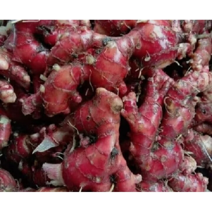 

JAHE MERAH SUPER 500gram