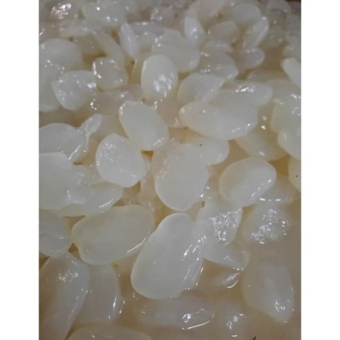 

PROMO MURAH TERBARU Biji Kolang Kaling Super Kenyal Organik 1Kg fresh ready READY .