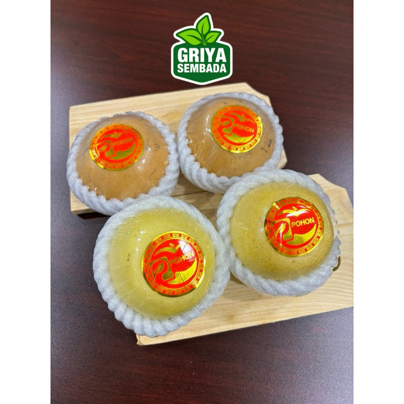 

Instant Pir / Pear Golden / Pear Singo - 1 Pcs Griya Sembada