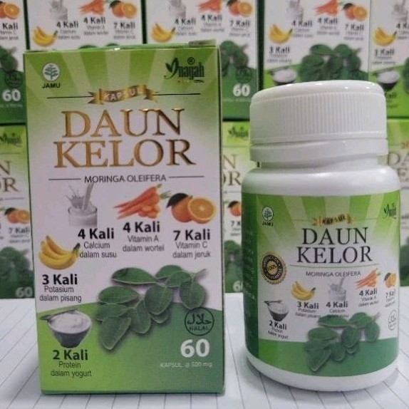 Kapsul Daun KELOR Inayah 60 Kapsul