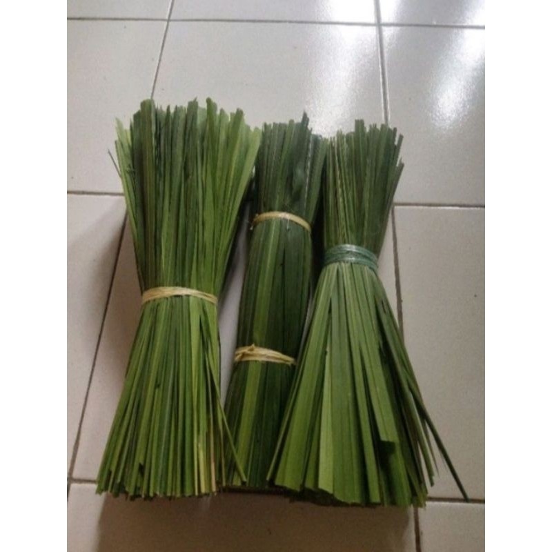 

peromo daun ilalang/ alang alang fresh 500gram