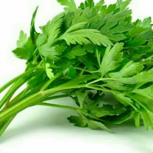 

Daun SOP / Daun Seledri 100gr | Sayur Segar Medan