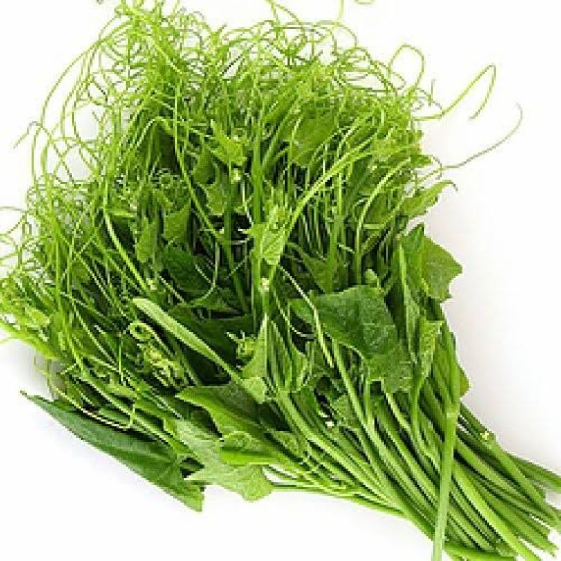 

Daun labu / Pucuk Waluh Per ikat besar