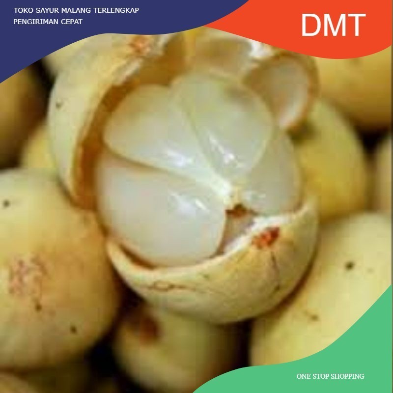 

Duku / Dukuh Manis Segar