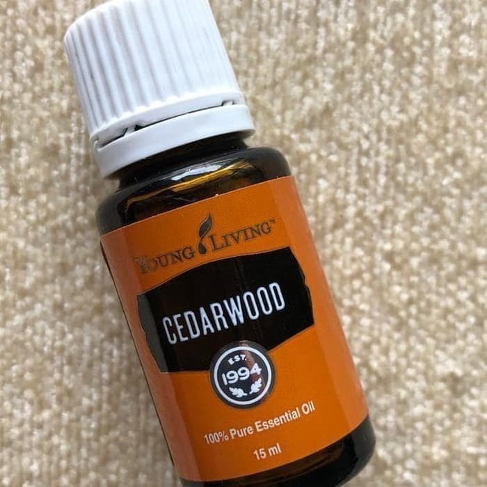 young living oil cedarwood 15ml  oil cedar wood  15ml living essentials oil minyak esential promo he