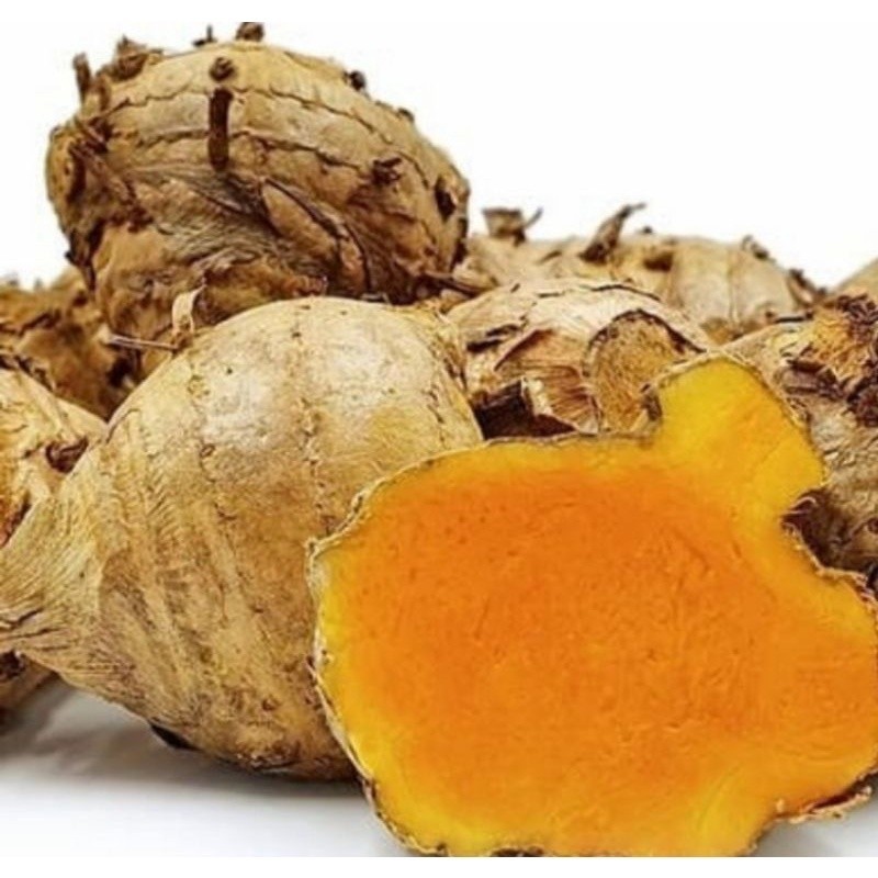 

selalu Promo temulawak segar organik temulawak d ambil dari alam Rempah_herbalCo