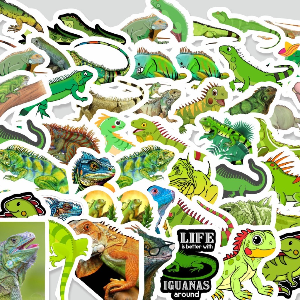 

Stiker Cutting Pack Stiker Hewan Iguana Isi 100Pcs Series Aesthetic Lucu Keren Untuk Koper Bahan Vynil