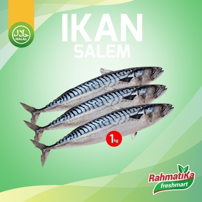 

Ikan Salem Segar / Ikan Salem IQF Premium Fresh 1 Kg