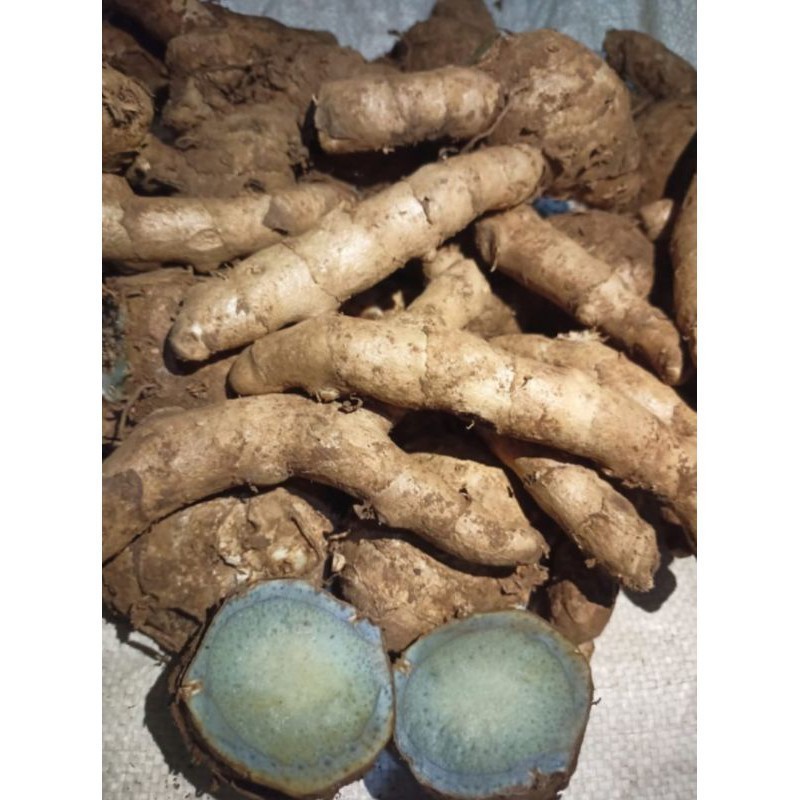 

500GR TEMU IRENG / KUNYIT HITAM / FRESH *