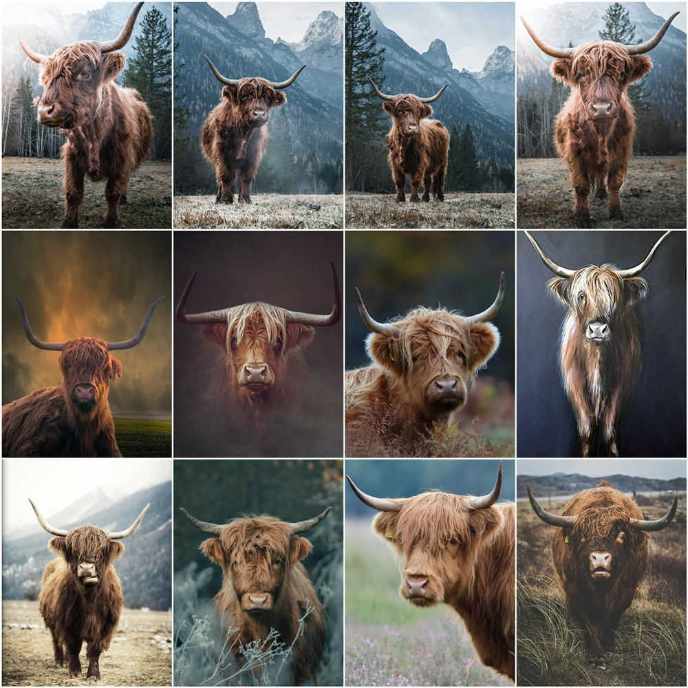 

AZQSD Oil Painting By Number Highland Cattle Handpainted Bedroom Decor Paint By Number DIY Frame Cow Unique Gifts