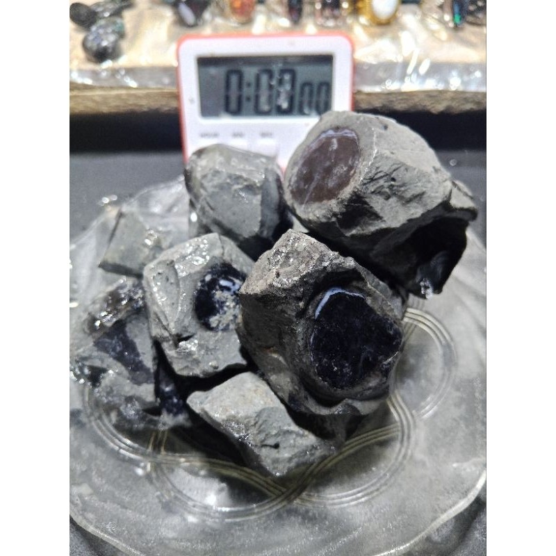 MER.SHOP KALIMAYA JARONG SAMUDRA DAN RUYUNG ASLI BANTEN