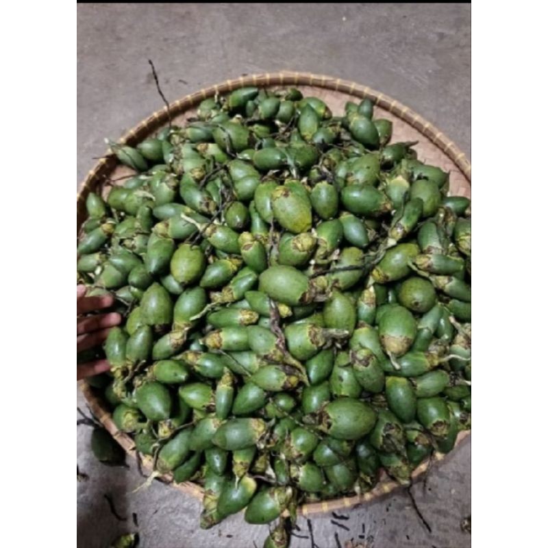 

Pinang muda asli 1kg