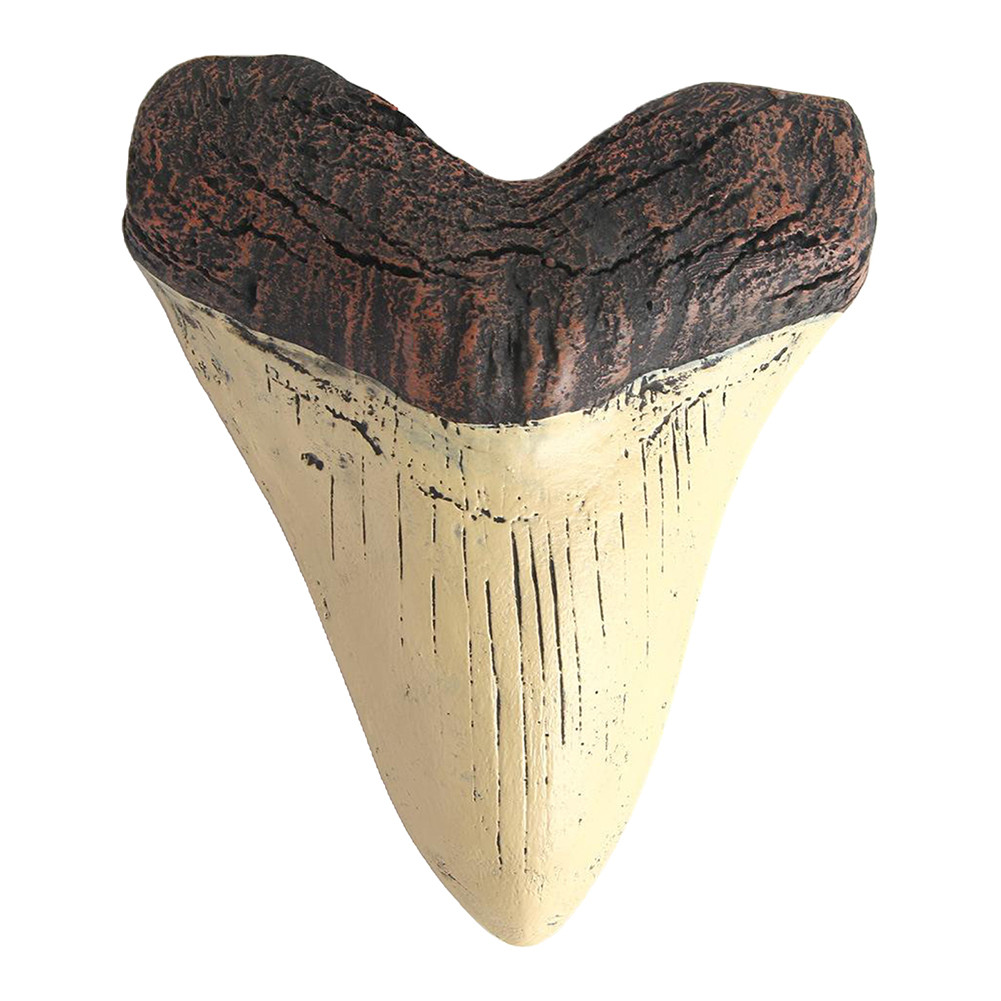 

Home Decoration Resin Shark Teeth 5inch Giant Megalodon Tooth Marine Bology Teaching Props Beige Shark Teeth Fossil Best Gifts