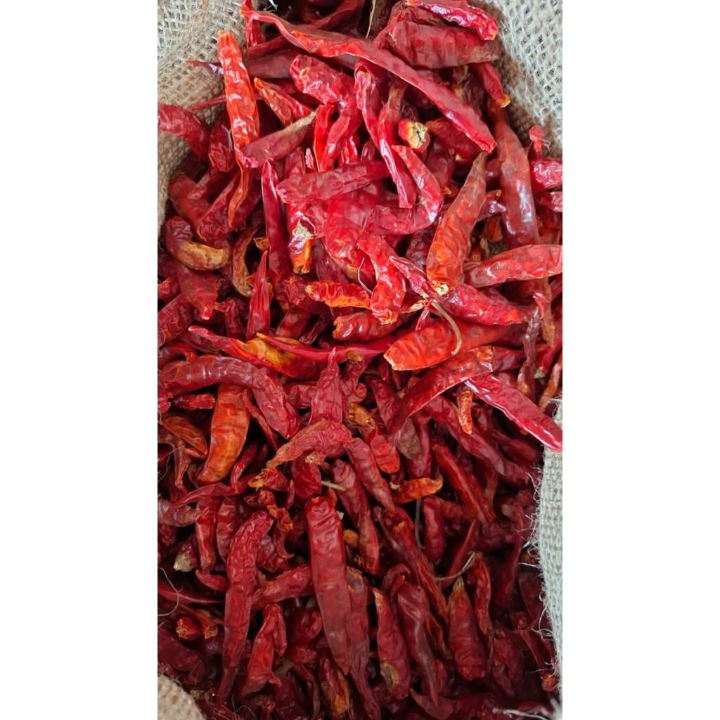 

Paket CABAI CABE MERAH KERING TEJA KERITING BERSIH TANPA TANGKAI 1KG / 1000gram