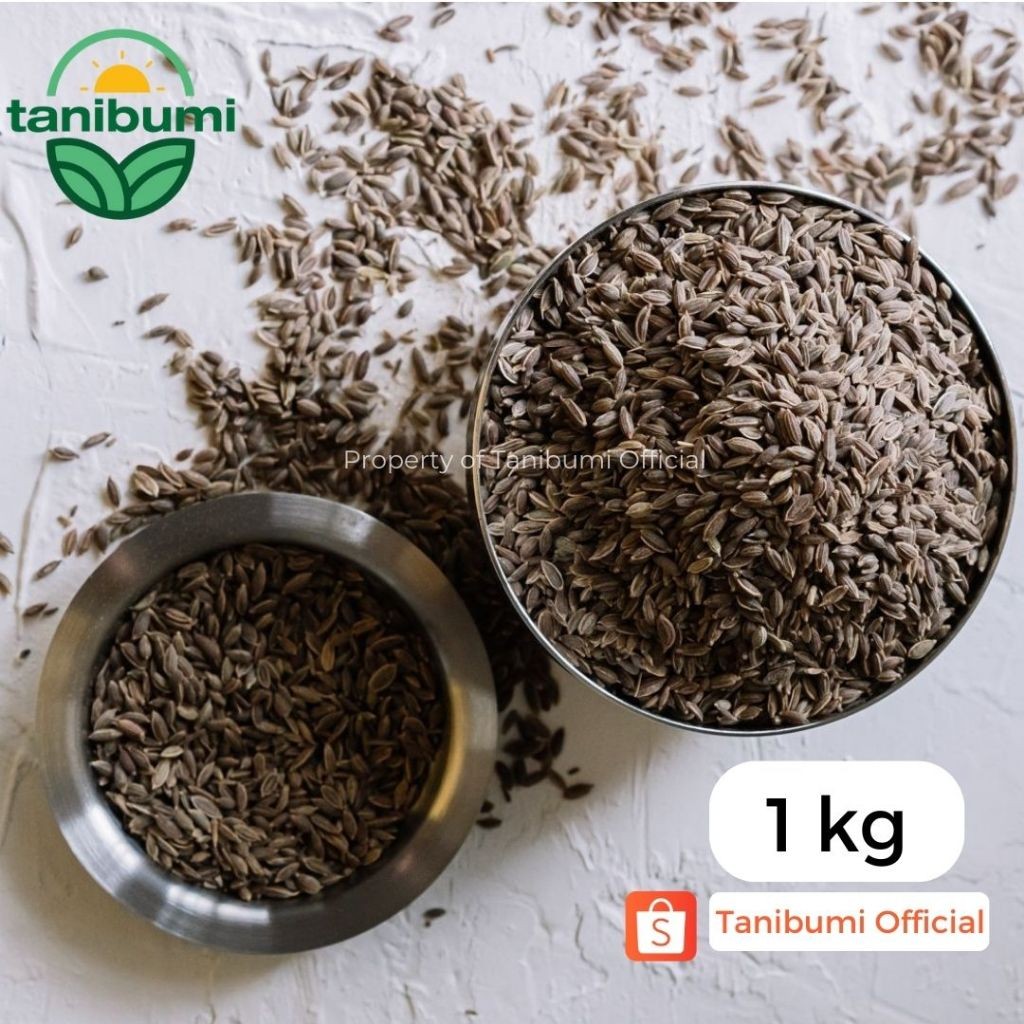 

1Kg | Biji Adas Pedas | Dill Seed | Adas Sowa | Jintan Jamu