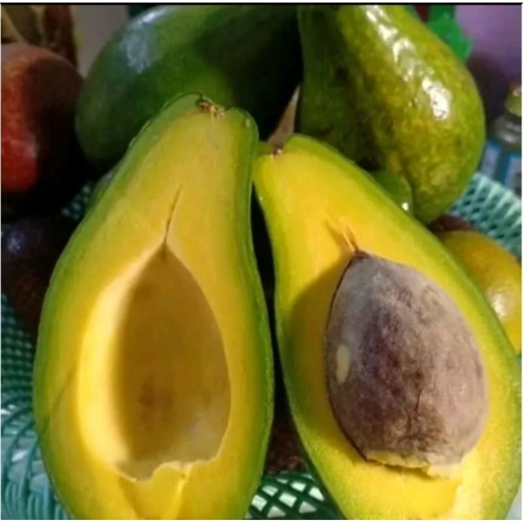 

alpukat mentega muria 1kg isi 3-5 nikmat legut, pulen, untuk diet dan sarapan sehat