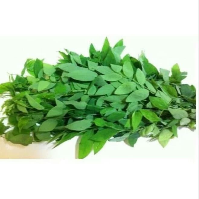 

Ready stok New Promo daun katuk fresh 200 grm COD