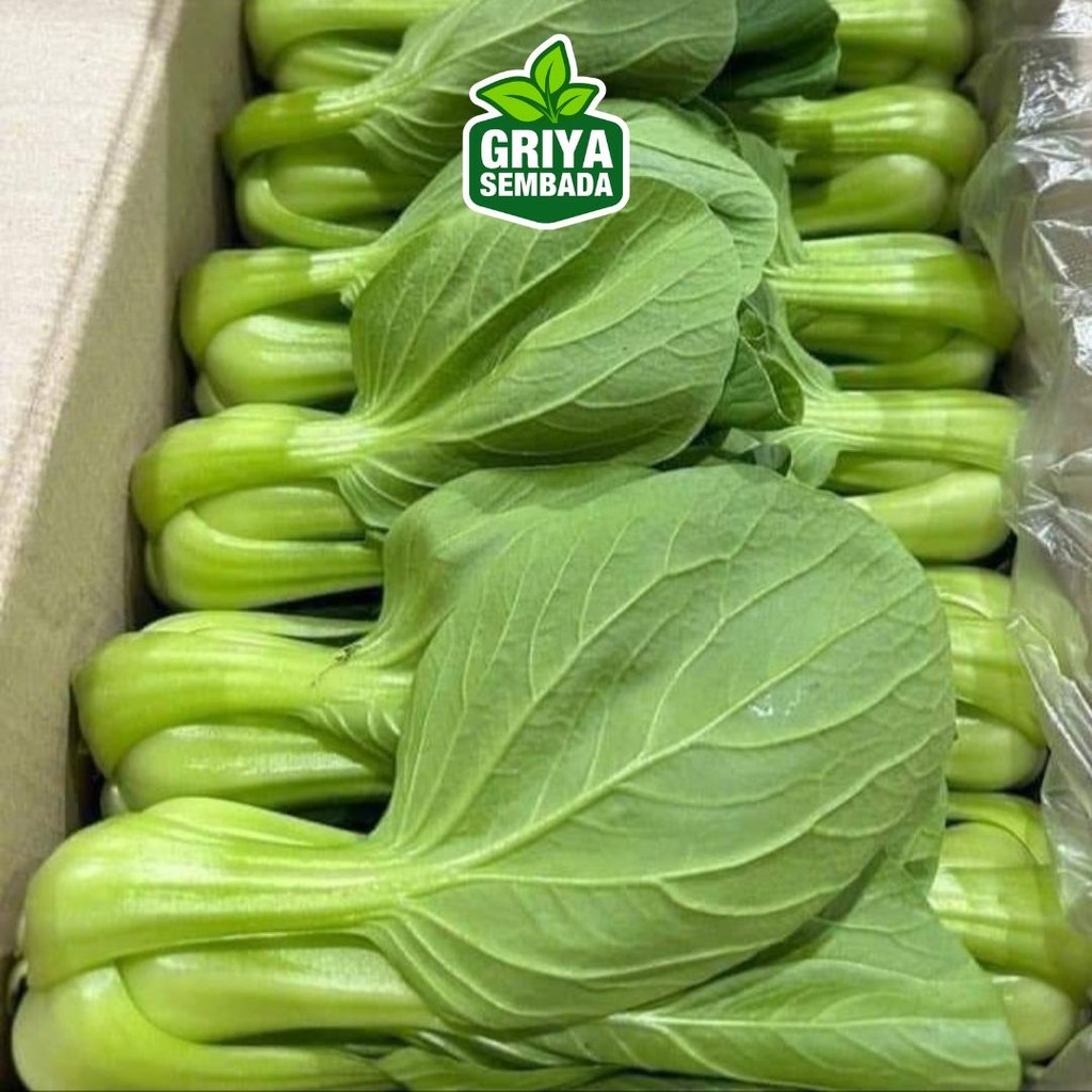 

Sayur Pokcay /Pokcoi 250g - Griya Sembada Kirim Instant /Sameday/Grabfood