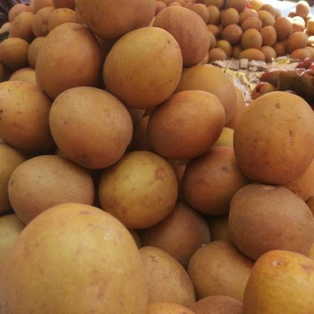 

Sawo Madu Asli 1 Kg – Manis Alami & Fresh