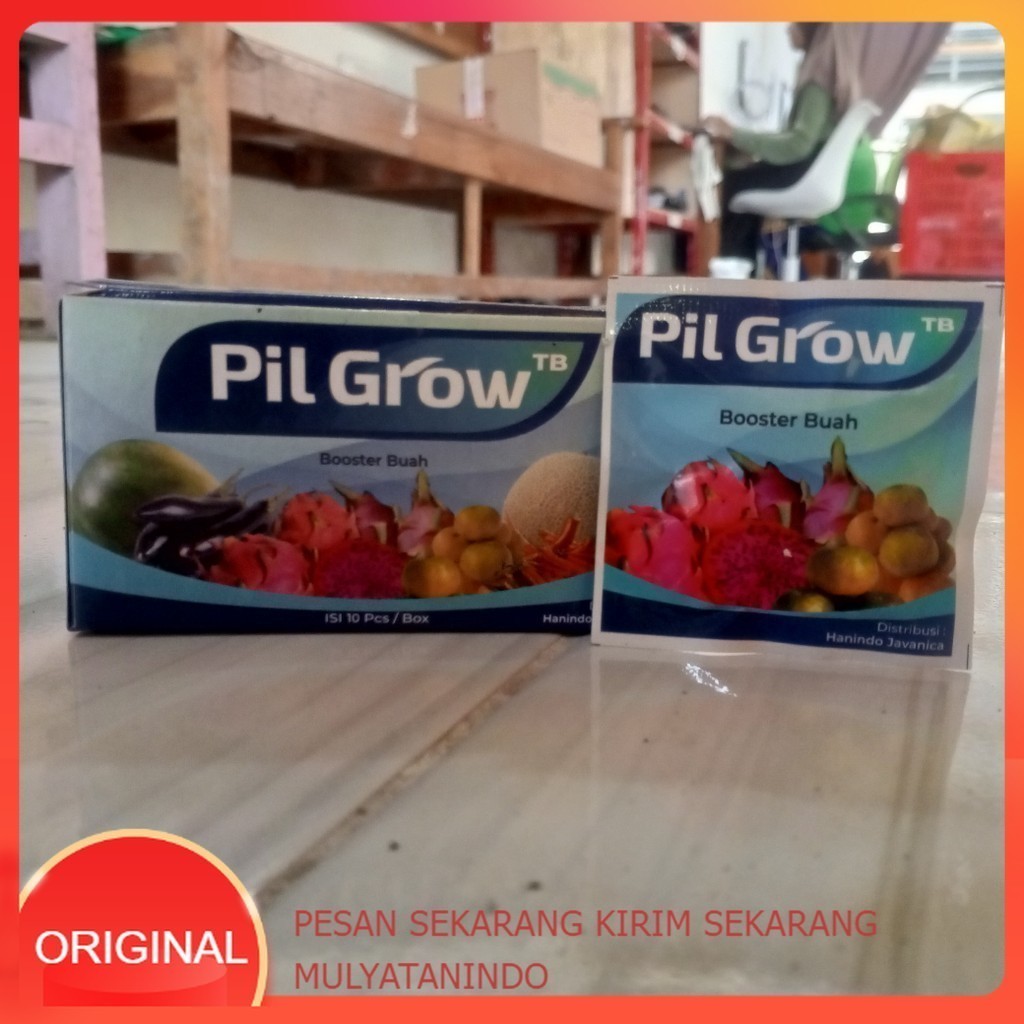 PIL GORW GA3 ZPT BOOSTER BUAH PEMBESAR BUAH ISI TABLET
