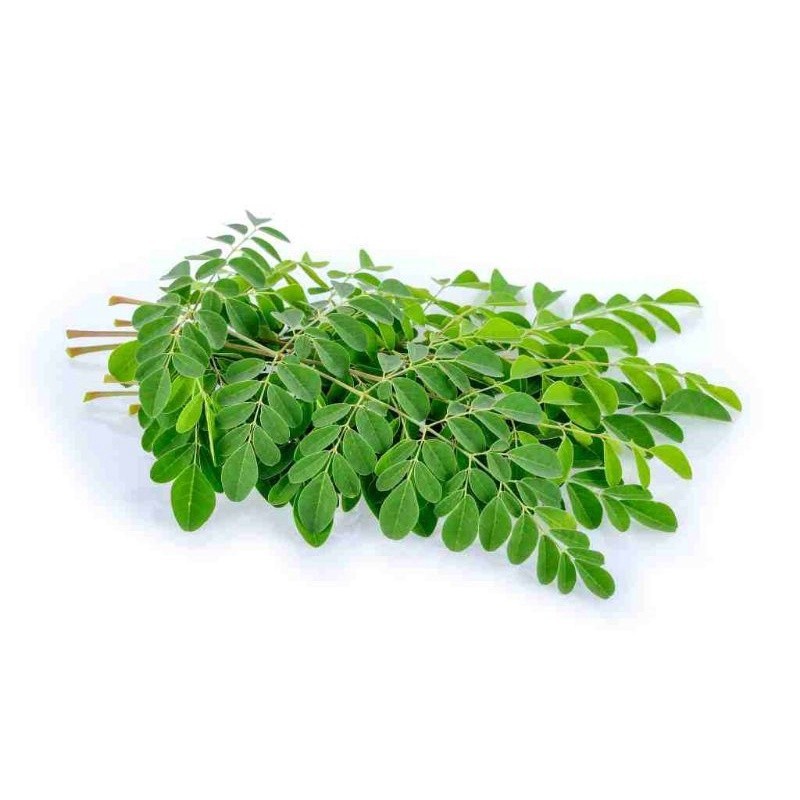 

Jual Daun kelor segar kemasan 250 gram