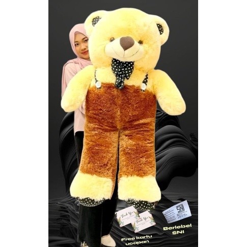 Boneka beruang Teddy bear Jojon jumbo boneka beruang jumbo boneka rainbow boneka besar boneka beruan
