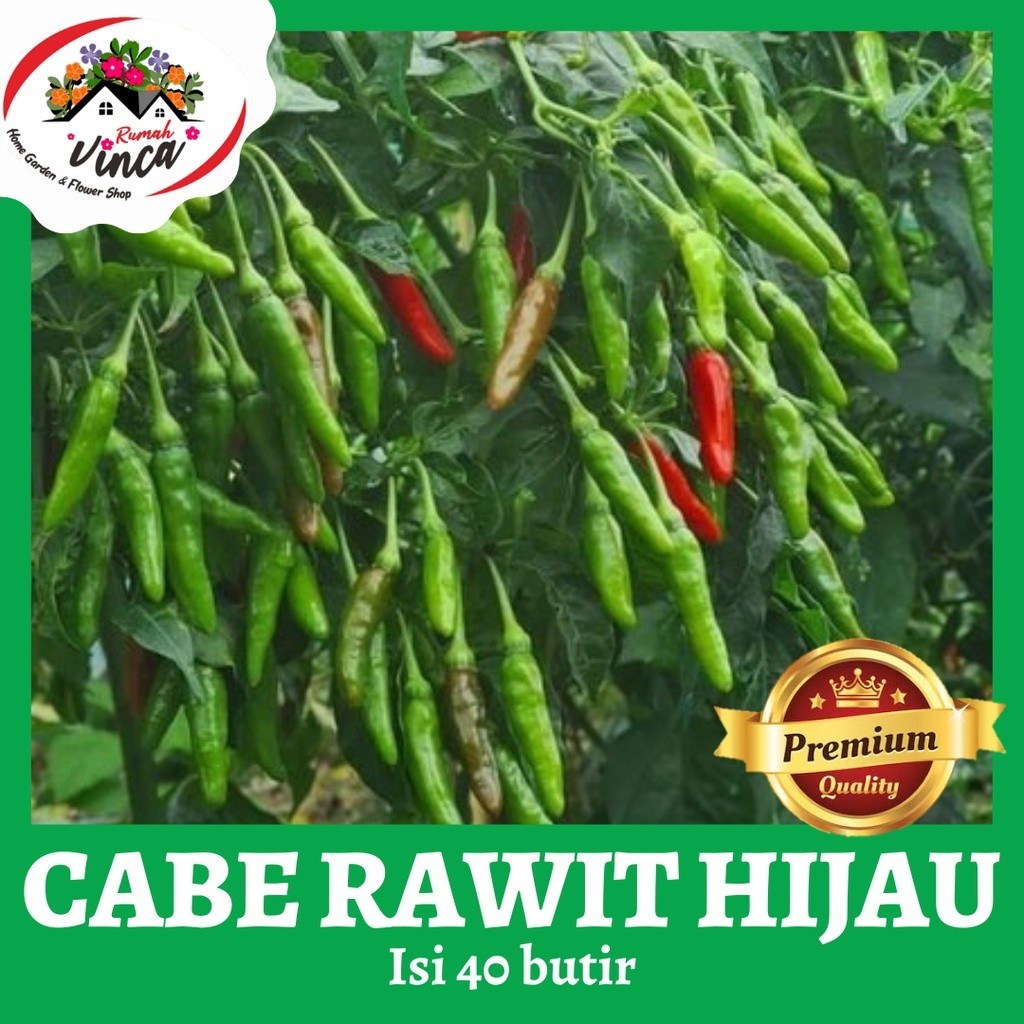 Benih Bibit Cabe RAWIT HIJAU F1 Cabai Rawit Setan Super Pedas