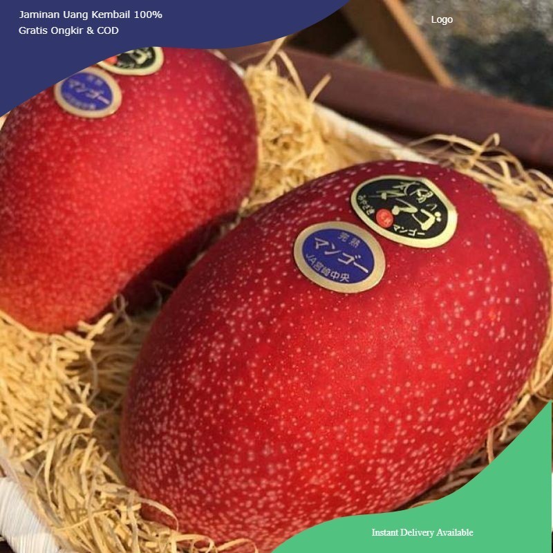 bibit mangga Miyazaki / mangga impor jepang