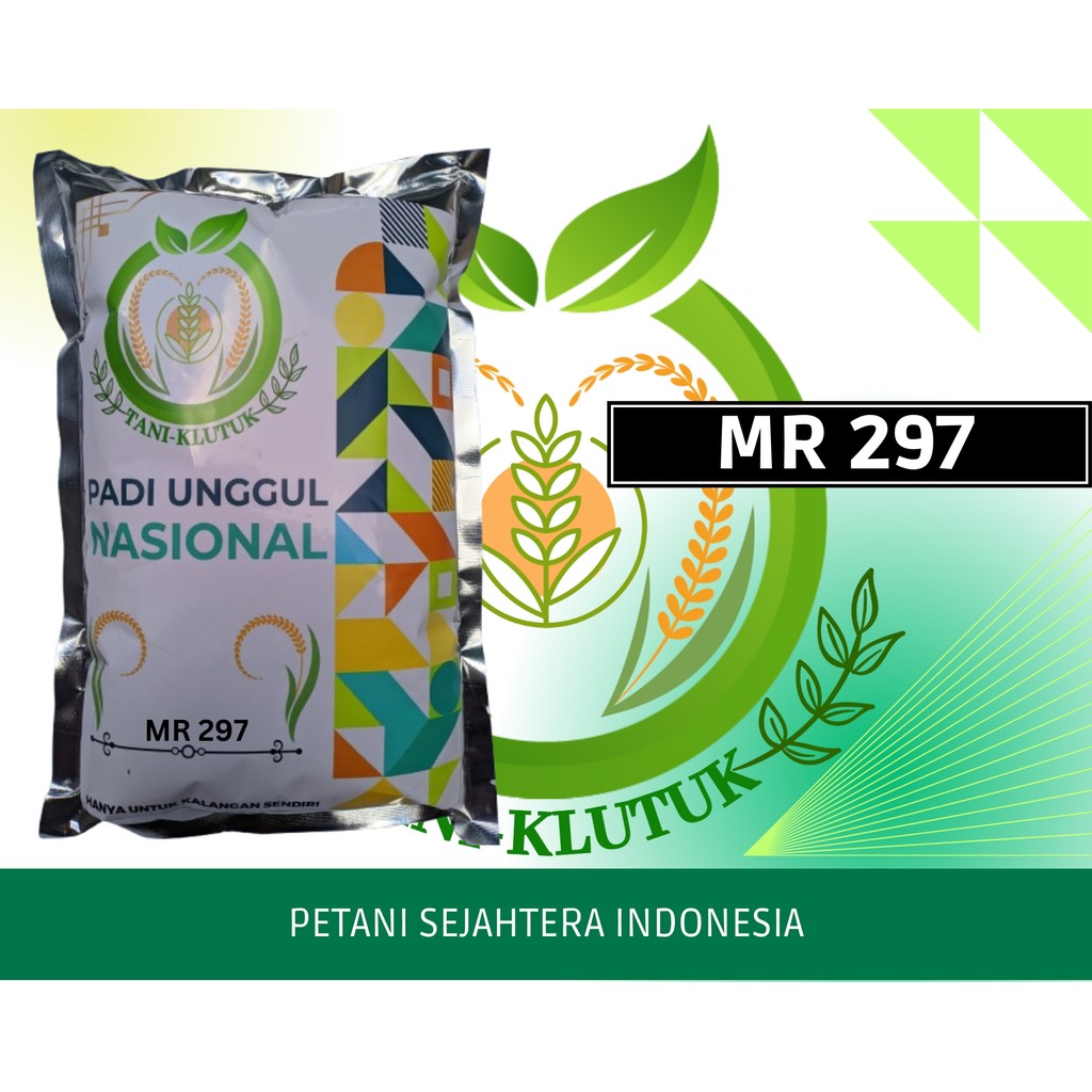 Benih/BIBIT Bibit Padi MR 297 1KG Berkualitas ORIGINAL PRODUK