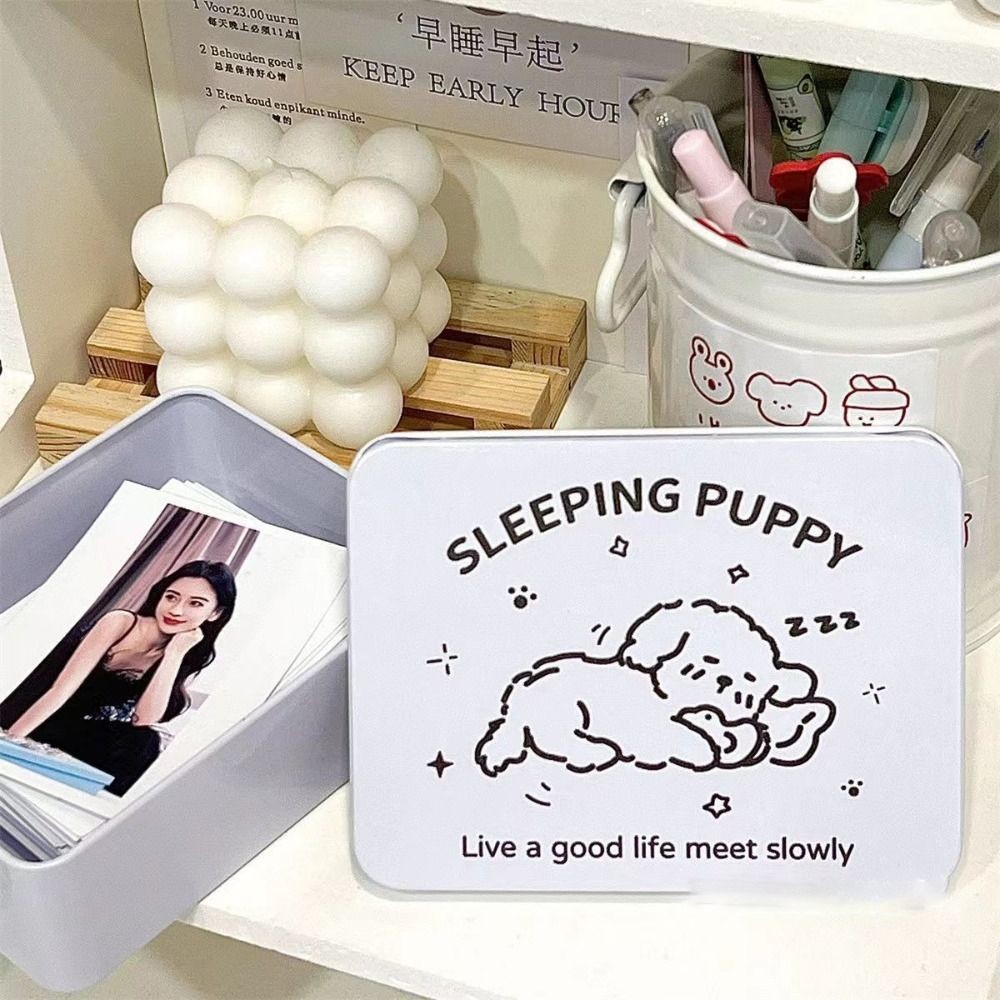 

Cartoon Iron Storage Box Kpop Photocards Big Capacity Desktop Storage Small Card Storage Box School Stationery Office Supplies