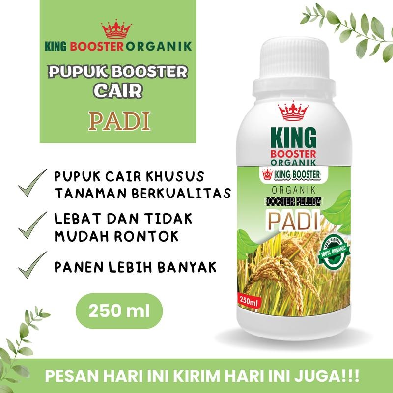 Pupuk Padi Cair 250ml Organik / Pupuk Padi Sawah Terbaik Pupuk Pelebat Padi dan Supaya Cepat Berbuah